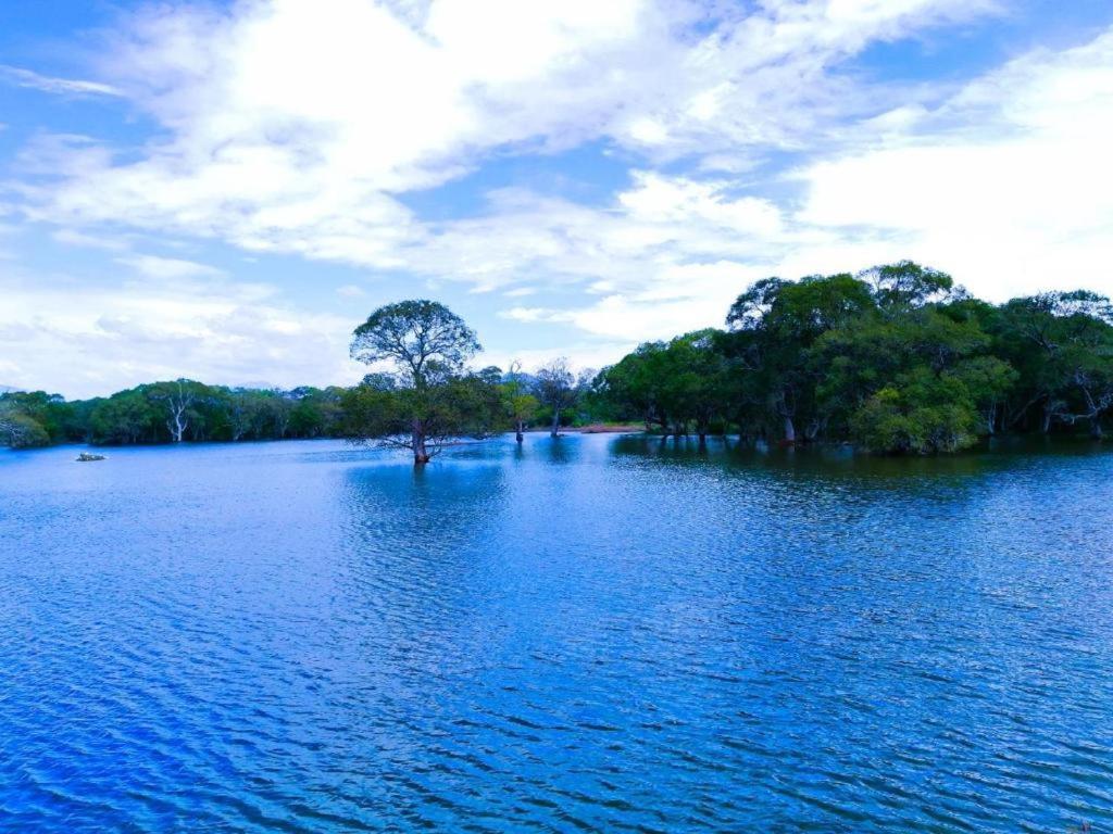 Ethili Lake View & Safari Camp Wellawaya Exterior photo