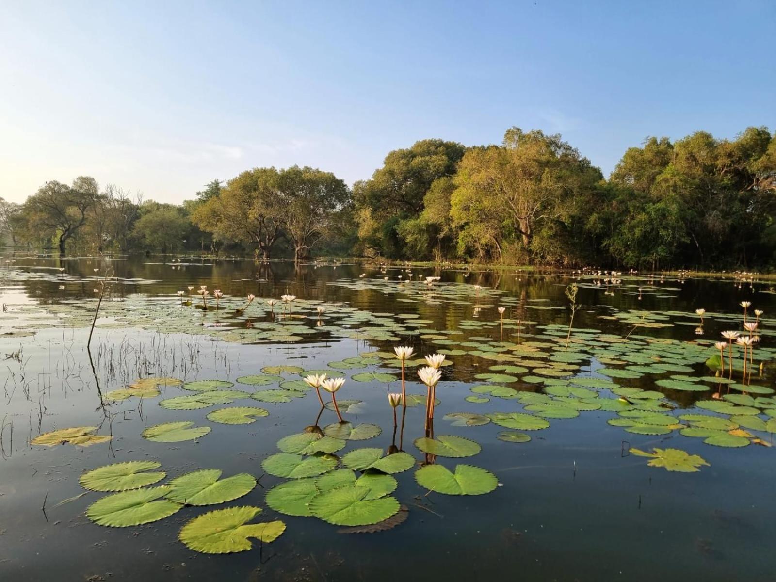 Ethili Lake View & Safari Camp Wellawaya Room photo